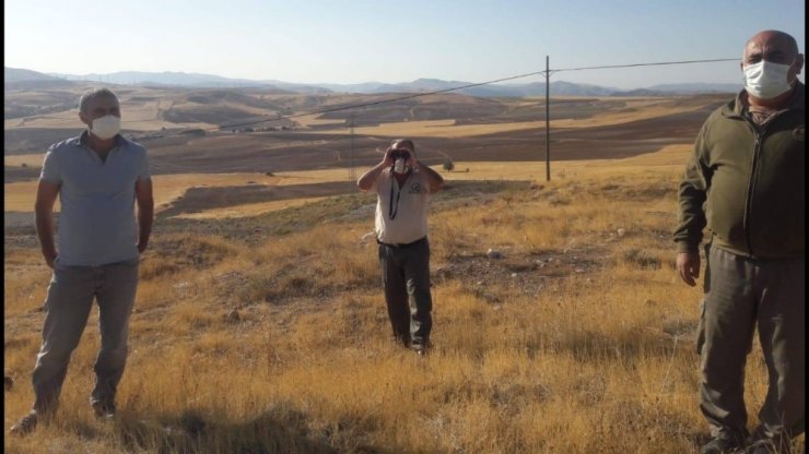 Elazığ’da ağla kurulu av düzeneği ele geçirildi