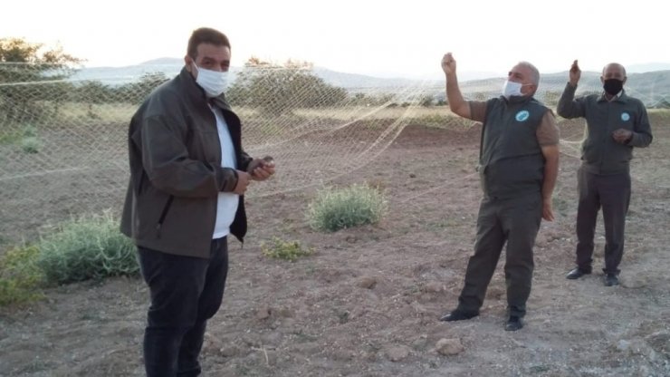 Elazığ’da ağla kurulu av düzeneği ele geçirildi