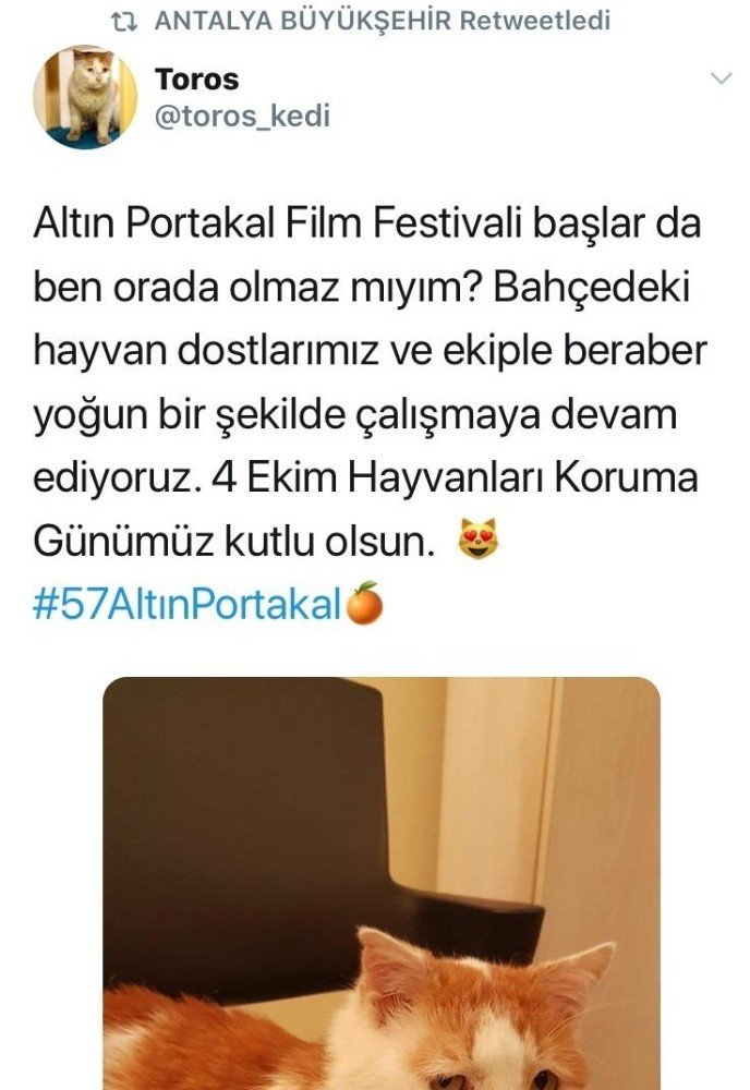 Altın Portakal’ın en sevimli akreditesi