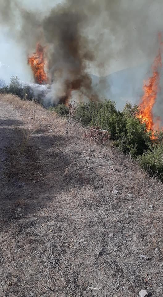 Manisa’da 8 hektar ormanlık alan yangında kül oldu