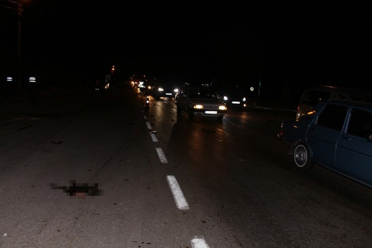 Otomobiller karayolundaki koyun sürüsüne daldı; 7 yaralı