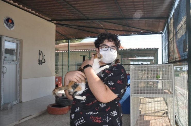 Mersin’deki hayvan barınağında 31 hayvan sahiplendirildi