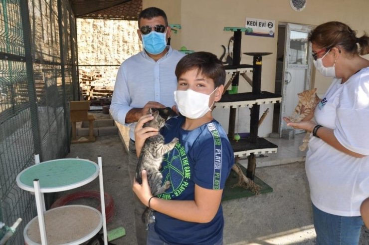 Mersin’deki hayvan barınağında 31 hayvan sahiplendirildi