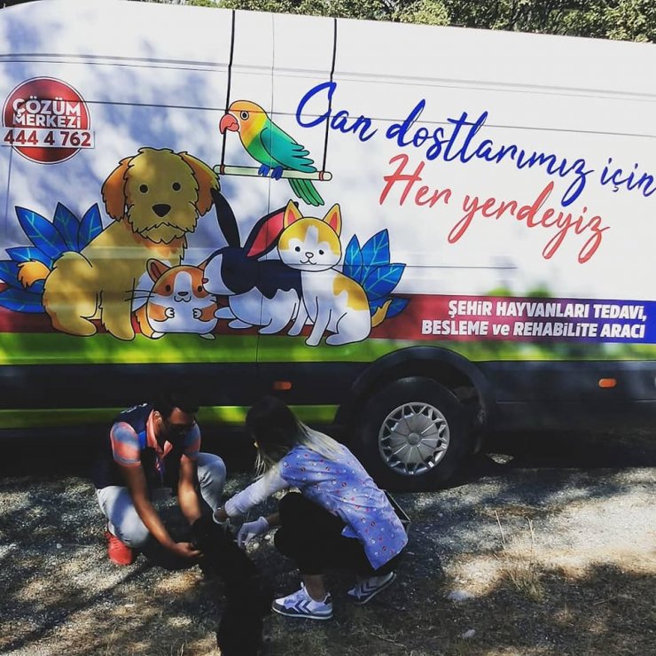 Sincan’da sokak hayvanları için acil müdahale aracı hizmet veriyor