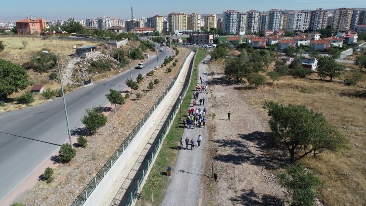 Patiköy ve Pati Yolu örnek oldu