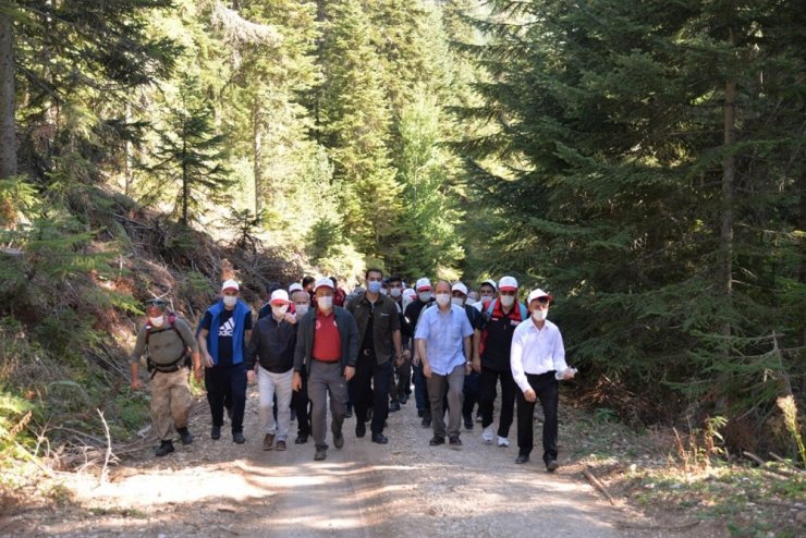 Tedavisi tamamlanan yavru çakalı Vali Şentürk doğaya saldı