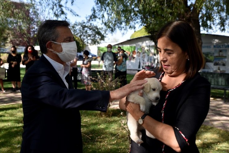 Duyarlı hayvanseverlere Tepebaşı Belediyesi’nden teşekkür