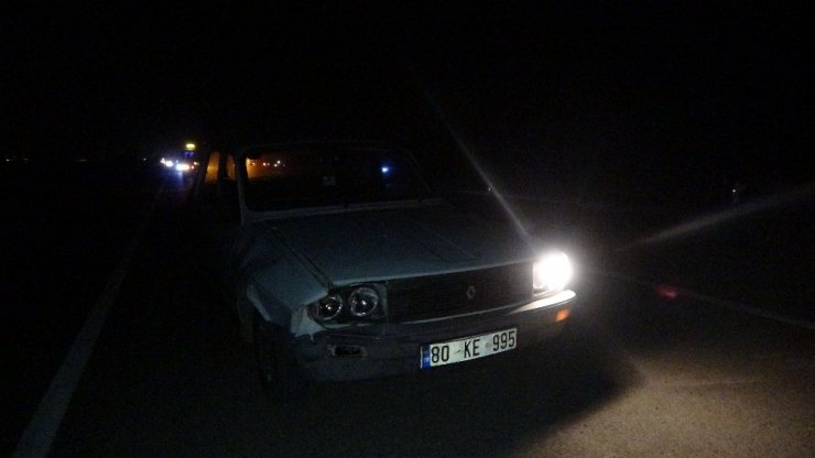 Otomobiller sürüye çarptı: 23 keçi telef oldu