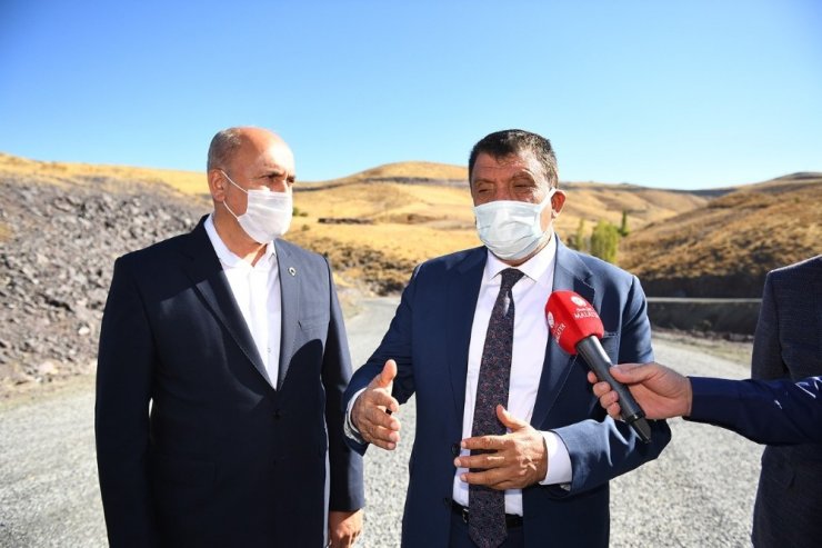 Yaygın Puluşağı ilk kez asfaltla tanıştı