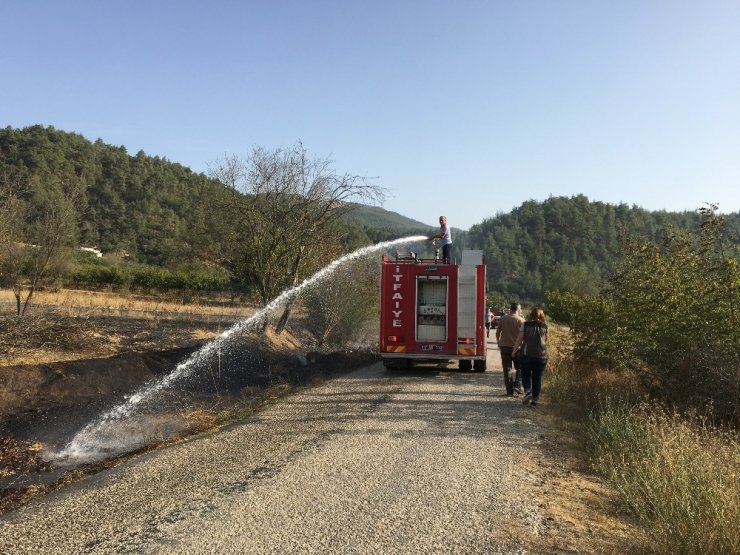 Bilecik’te çıkan yangın ormana sıçramadan söndürüldü