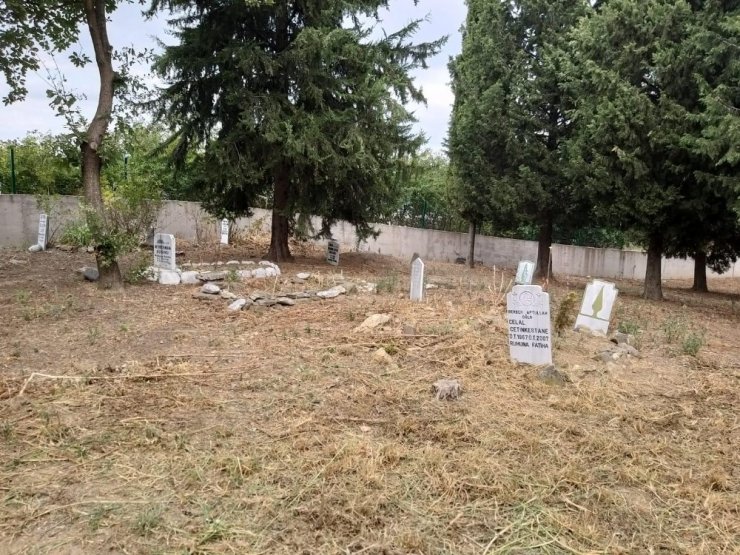 Mezarlıklarda bakım sürüyor