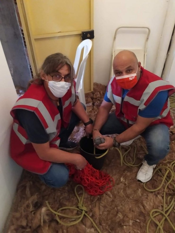 DAK ekiplerinden kuş kurtarma operasyonu