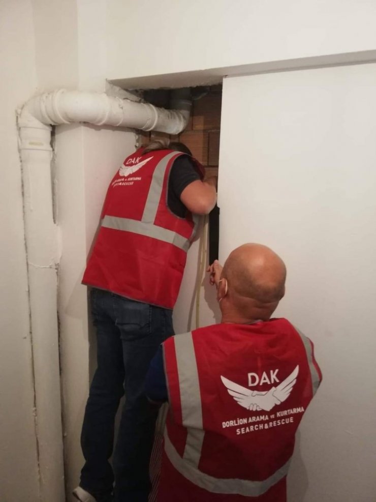 DAK ekiplerinden kuş kurtarma operasyonu