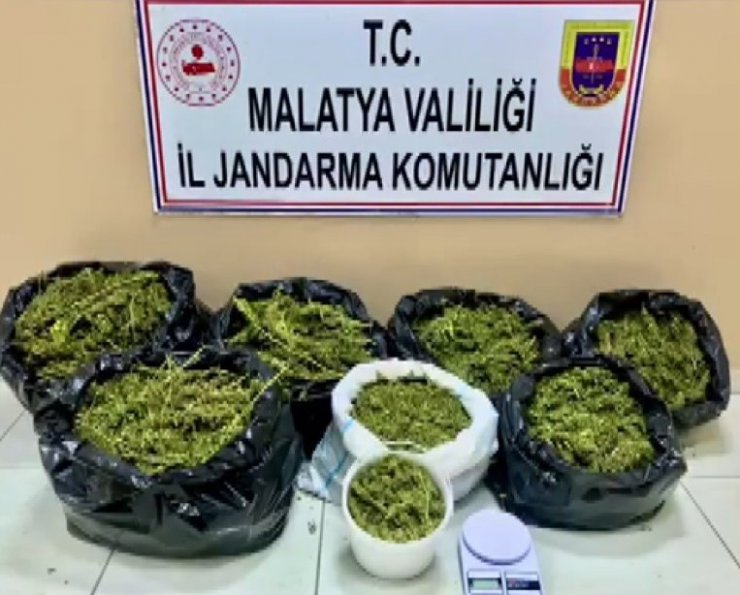 Çatıyı esrar üretim üssüne çevirmişler