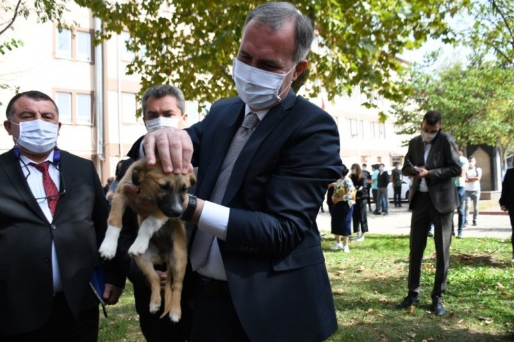 “Her okula bir pati”