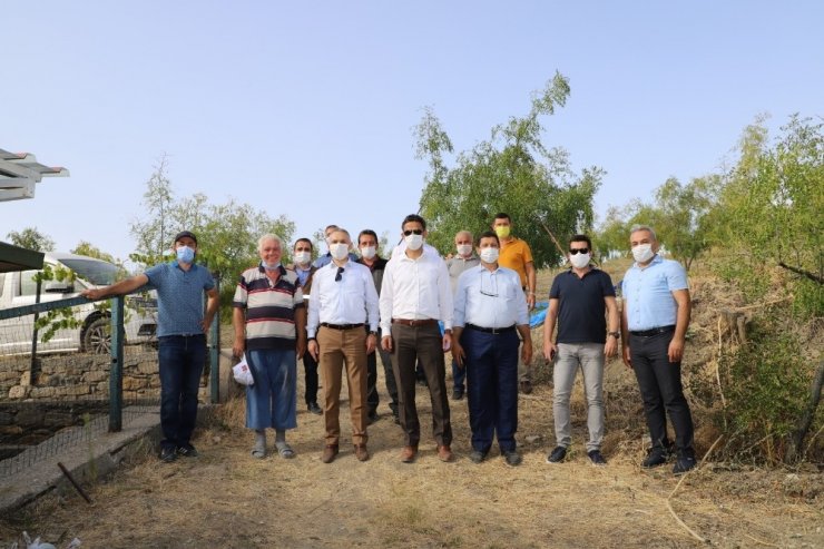 Şifa kaynağı hünnapta hasat başladı