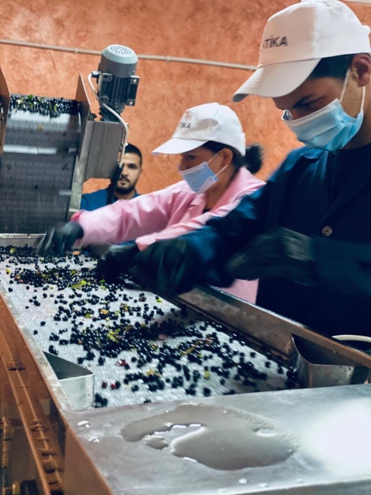 TİKA Gürcistan’da organik meyve suyu üretim tesisi kurdu