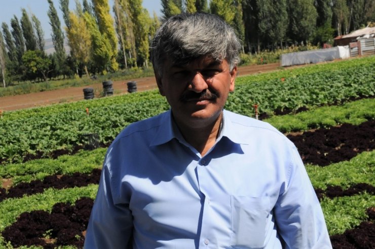 Anız yangınları kuraklığı tetikliyor