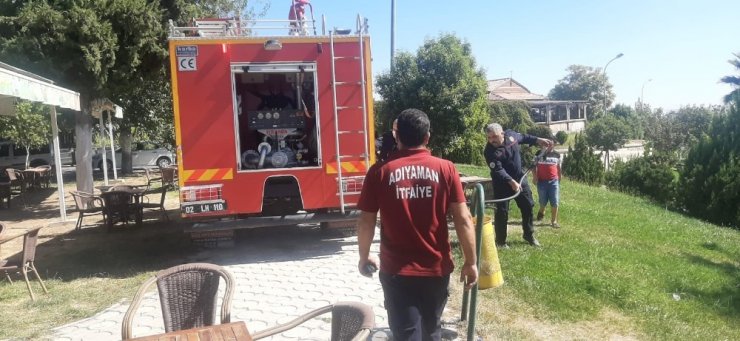 Yanan ağaç itfaiye ekiplerince söndürüldü