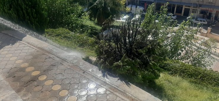 Yanan ağaç itfaiye ekiplerince söndürüldü