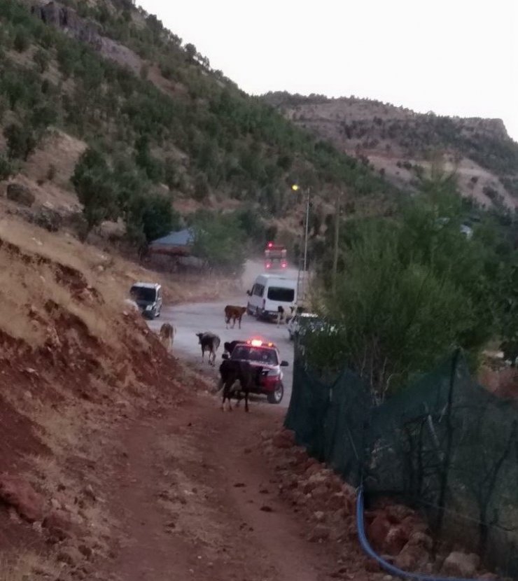 Adıyaman’da orman yangınına itfaiye müdahale etti