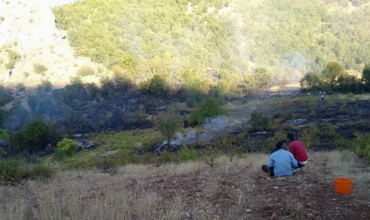 Adıyaman’da orman yangınına itfaiye müdahale etti
