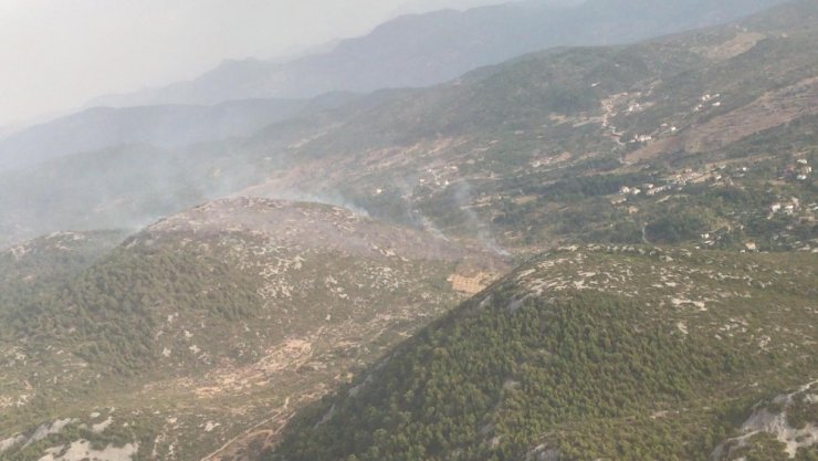 Alanya’daki orman yangınında 6 hektarlık makilik alan zarar gördü