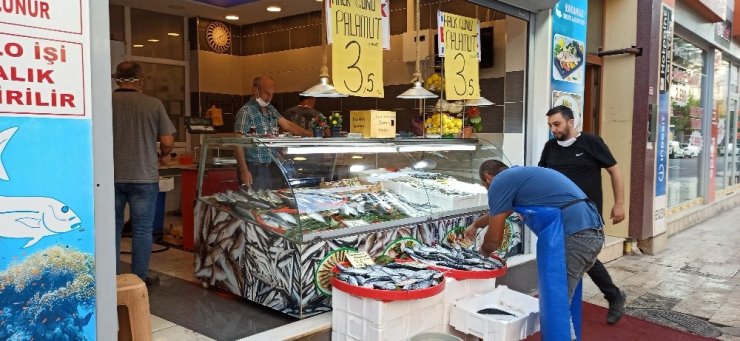 Düzce’de palamut 3,5 liraya kadar düştü