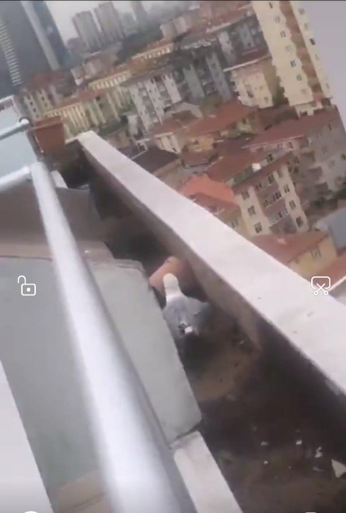 Çatıdaki yaralı martıya Ümraniye Belediyesi ekipleri müdahale etti