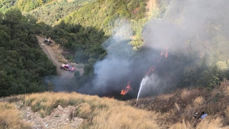 Gemlik Umurbey’de orman yangını