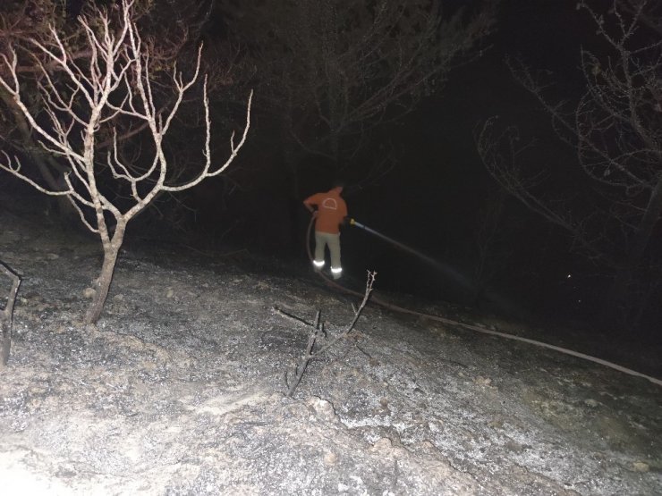 Hatay’da orman yangını