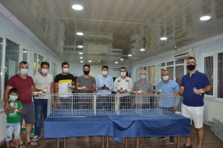 Manisa’nın asırlık güvercini "Hünkari" tescillendi
