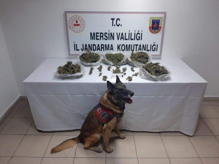 Mersin’de uyuşturucu operasyonu