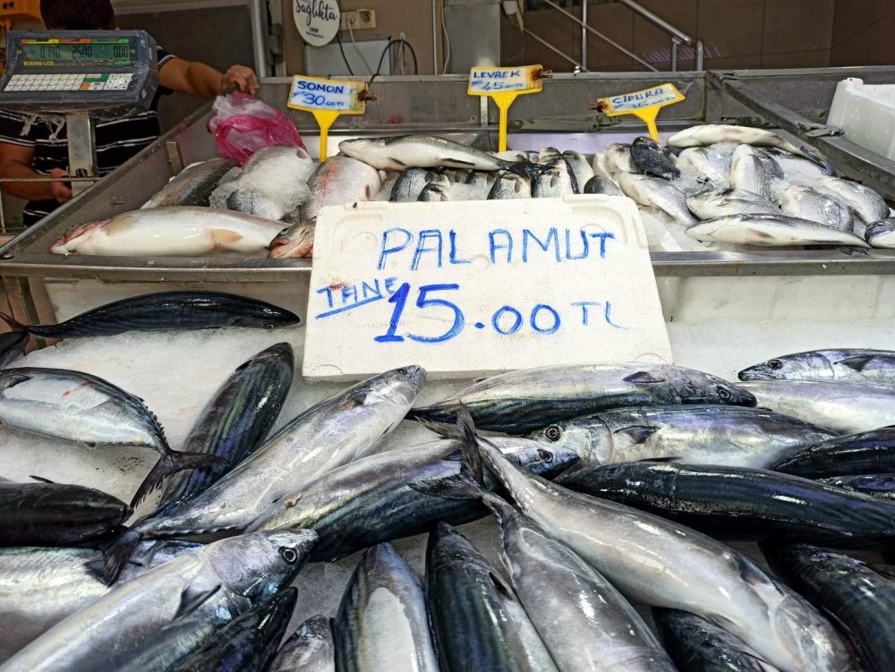 Sert esen rüzgar palamut fiyatlarını artırdı