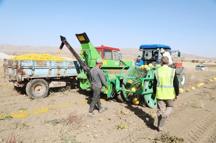 Talas’ın tarıma desteği artarak devam ediyor