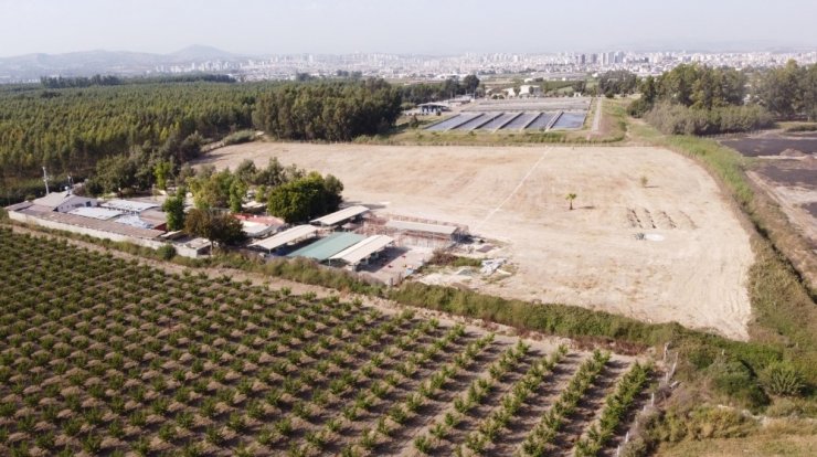 Tarsus Belediyesinden ‘Can Dostlar Ebedi Mezarlığı’