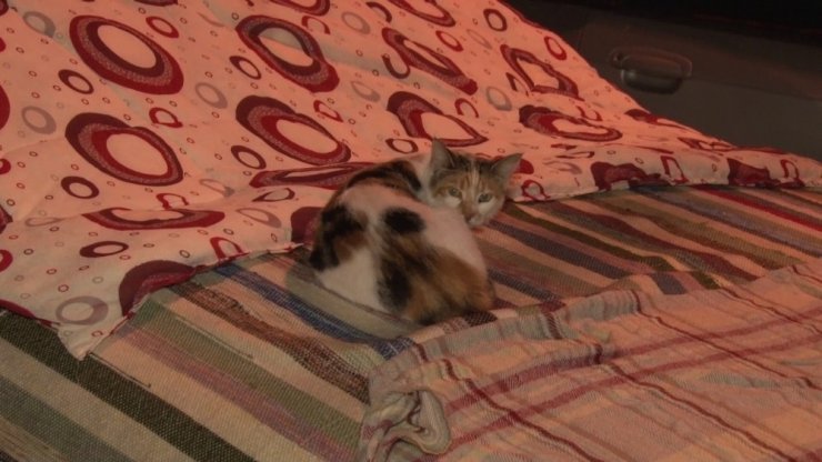 Beklenen dolu yağışı öncesi vatandaşlar araçlarını korumaya böyle aldı