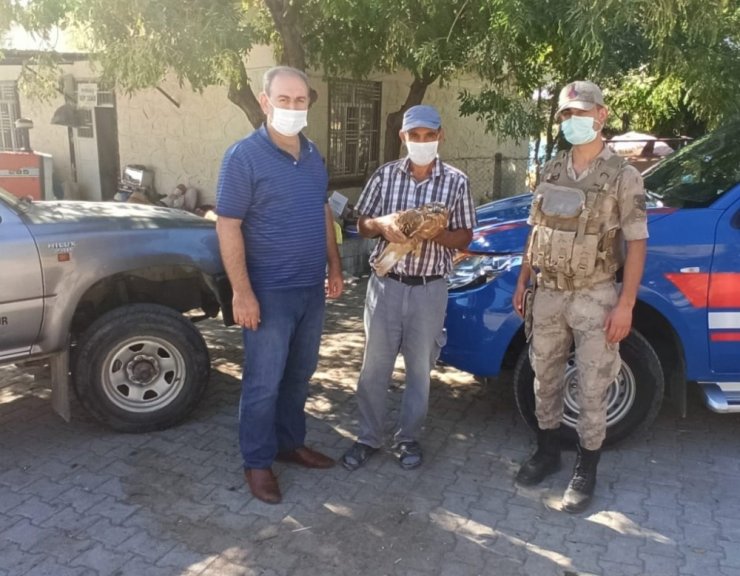 Yaralı şahin ekipleri teslim edildi