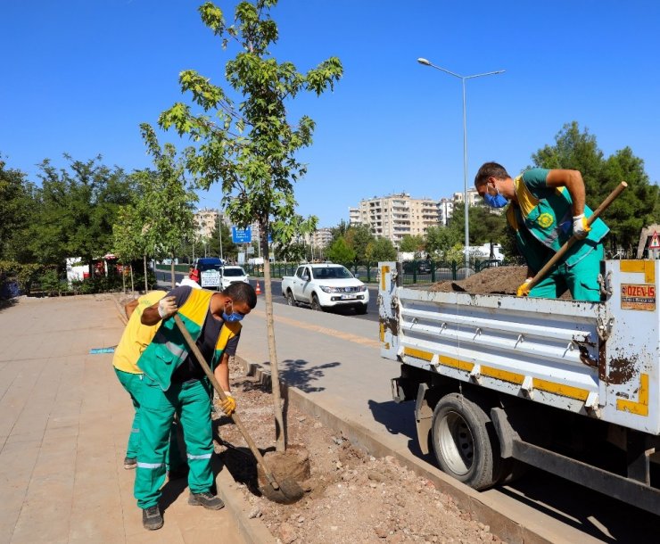 Diyarbakır’da cadde yeşillendirme çalışmaları