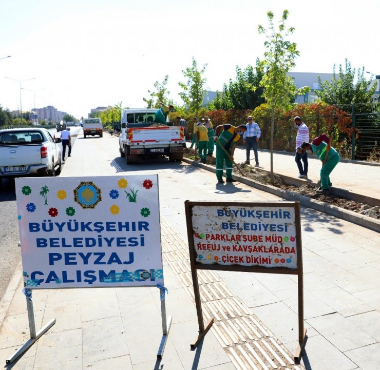 Diyarbakır’da cadde yeşillendirme çalışmaları