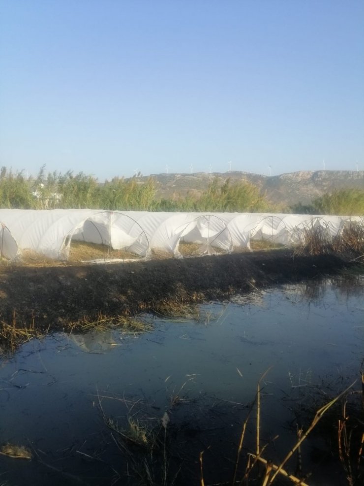 Samandağ’da seralar son anda yanmaktan kurtuldu