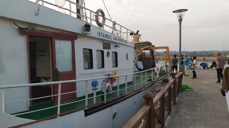 İstanbul Üniversitesi,Karadenizde deniz salyangoz stoğunu araştırıyor