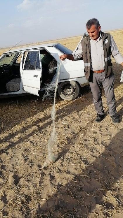 Konya'da file ağ ile şahin avlayan 2 kişi suçüstü yakalandı