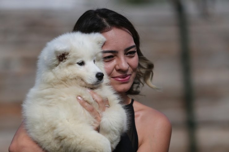 Evcil hayvanlar salgında en yakın arkadaş oldu