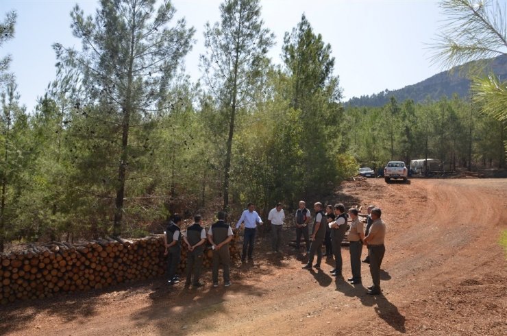 Orman Bölge Müdürü Akduman’dan Mersin ormanlarında inceleme