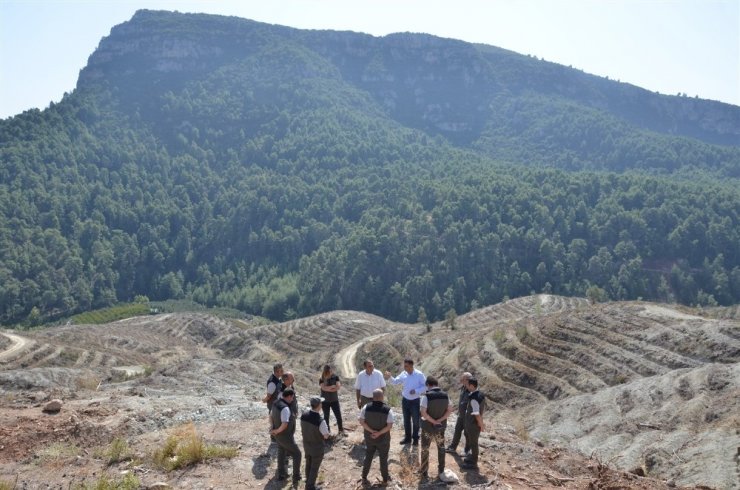 Orman Bölge Müdürü Akduman’dan Mersin ormanlarında inceleme