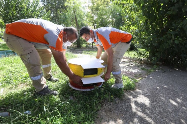 Buca Belediyesinden can dostlar için kışa hazırlık