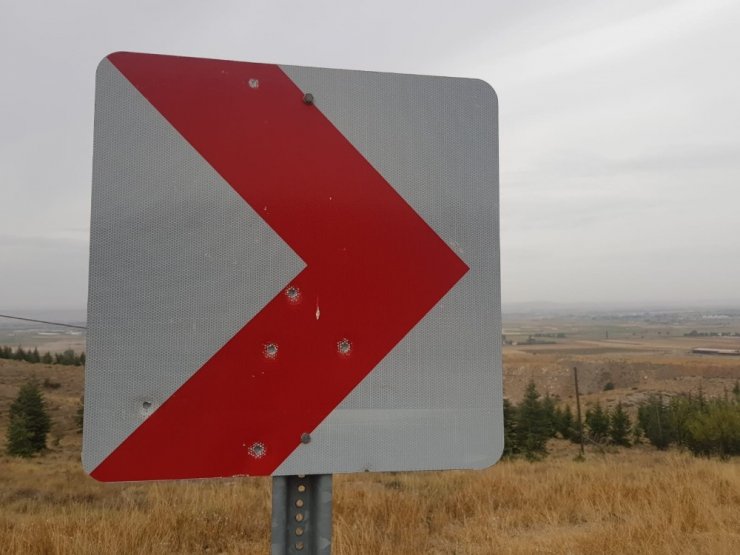 Trafik levhasını atış poligonu olarak kullanıyorlar