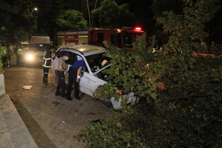 Cip önce pikaba sonra ağaca çarparak durabildi: 3 yaralı