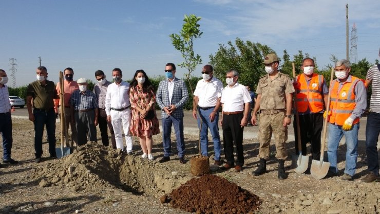 Kozan’ın girişine turunç ağaçları dikildi